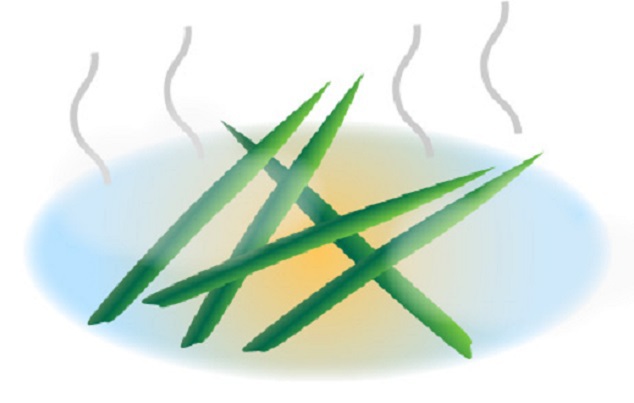 5月4日（日）は菖蒲湯！自然からの*贈り物＊