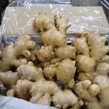 新年1月はしょうが湯！