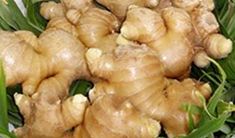 H25年の初湯　＊しょうが湯＊　